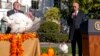 Presidenti Biden duke folur gjatë ceremonisë së faljes së gjelave të detit në Shtëpinë e Bardhë (21 nëntor 2022)