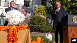 Presidenti Biden duke folur gjatë ceremonisë së faljes së gjelave të detit në Shtëpinë e Bardhë (21 nëntor 2022)
