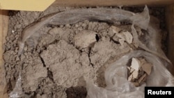 A view shows part of a flamingo fossil egg between 8,000 and 12,000 years old. It was uncovered at the construction site of the Felipe Angeles airport in Zumpango, Mexico. Photo released and distributed on Aug. 3, 2023, by Mexico's National Institute of Anthropology and History.