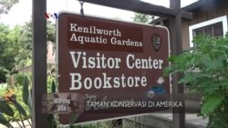 Jalan-jalan ke Taman Air Kenilworth, Annacostia (1)