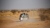 Les attaques continuent au Niger malgré le déploiement massif de forces anti-jihadistes nationales.