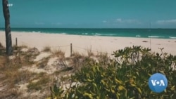 Acres of Florida Fruit and Veggies Left to Rot Due To Pandemic