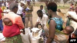 Vari kuramba kuburitsa magwaro anoratidza kuti vanyoresa kuvhota vanonzi vari kunyimwa chikafu chehurumende