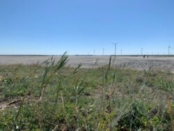 Посуха в окупованому Росією Криму