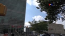 "Internacional Socialista" y las elecciones de Venezuela