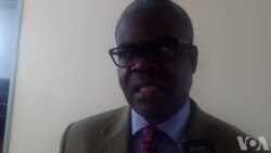 Nhengo dzePamarende Dzosangana neNhengo dzeEuropean Union