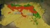 US-led Airstrikes Kill 2,500 IS Militants in December