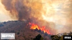 Qaradağ meşə yanğınında vali daxil olmaqla Şərqi Azərbaycan vilayətinin bəzi məsulları yanğınsöndürmə işlərinin zamanında tətbiq edilmədiyi və yardım tələblərinə Tehrandan zamanında cavab gəlmədiyini bildirdilər.