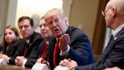 VOA Asia - Trump says steel, aluminum tariffs coming 'next week.'