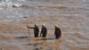 Uma fotografia fornecida pelo Gabinete Nacional de Proteção Civil da Tunísia, em 15 de setembro de 2023, mostra membros das suas equipas de emergência a ajudar no trabalho de socorro na cidade de Derna, na Líbia, na sequência de uma inundação devastadora.