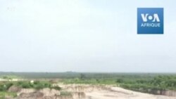 Les baobabs ploient sous la pression des cimentiers
