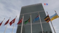 Aministía Internacional denuncia ataques contra población civil en Siria